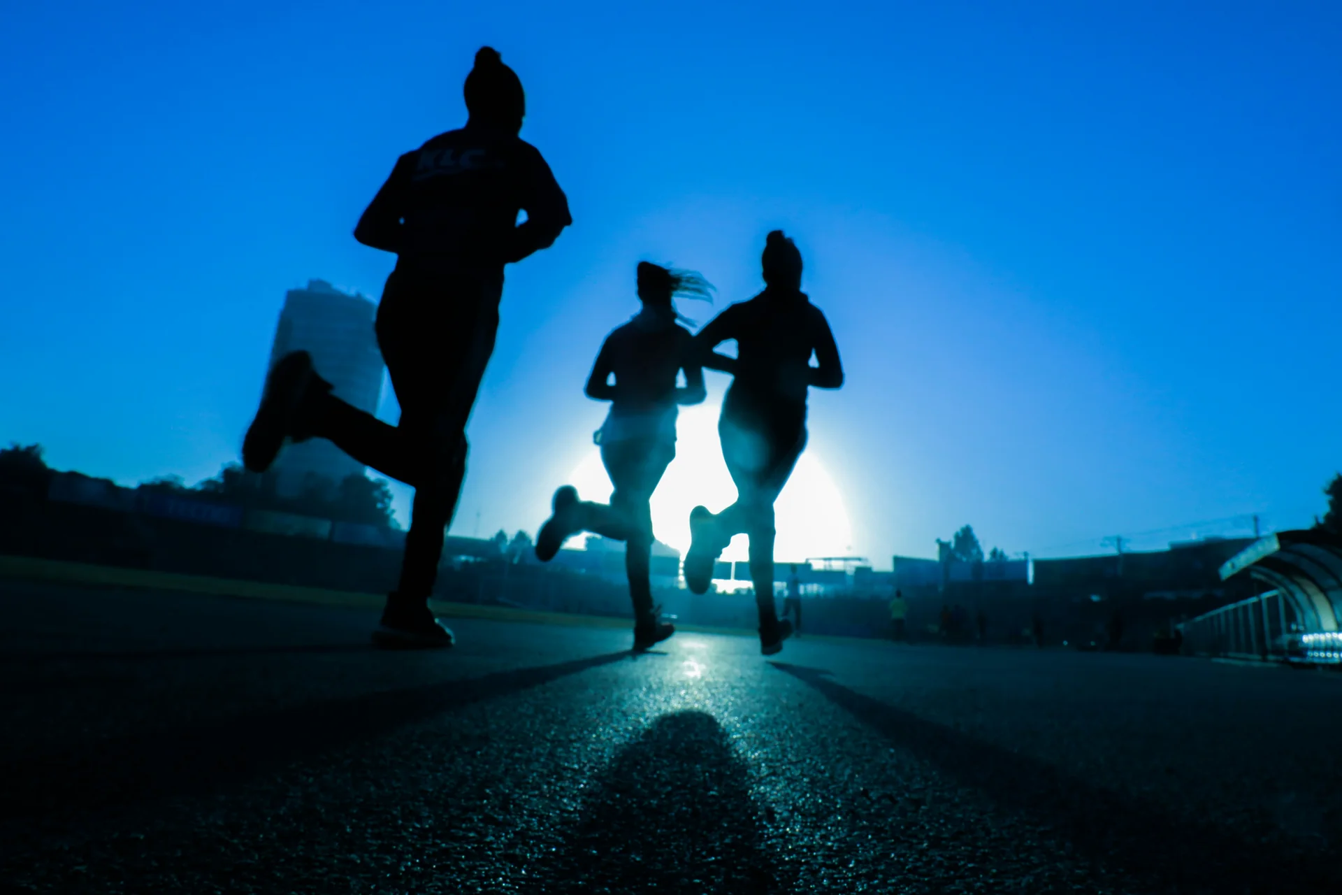 FIA RUN